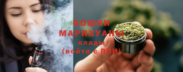бошки Ельня