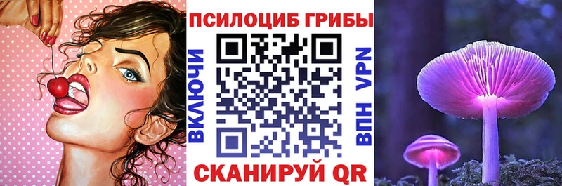 Галлюциногенные грибы прущие грибы  Купить где  Родники 